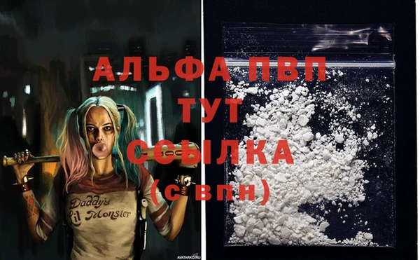 ECSTASY Волосово